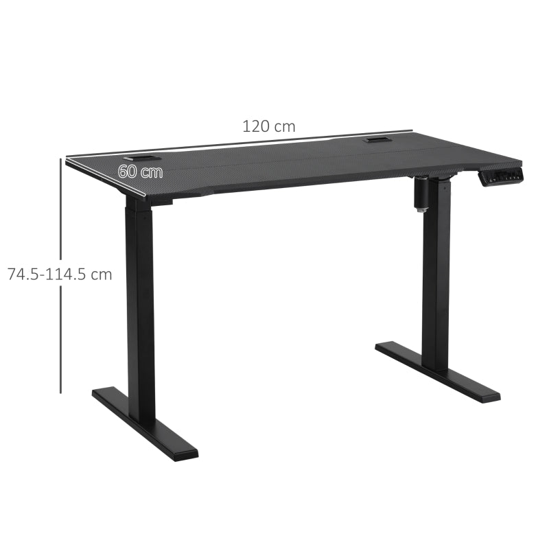 Electric Height Adjustable Standing Desk, 120 cm x 60 cm Memory Preset Stand Up Workstation for Home, Office, Black