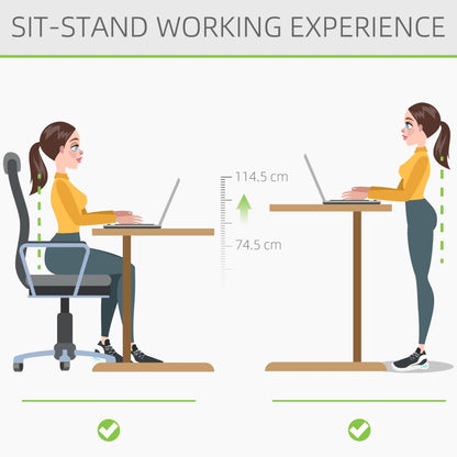 Electric Height Adjustable Standing Desk, 120 cm x 60 cm Memory Preset Stand Up Workstation for Home, Office, Black